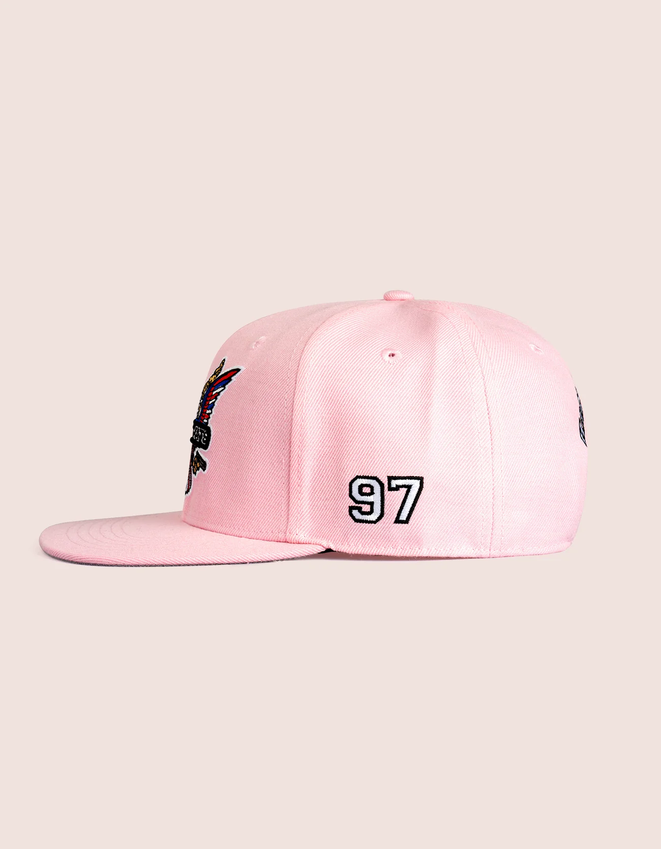 Classic Dipset Snapback Pink - Image 3